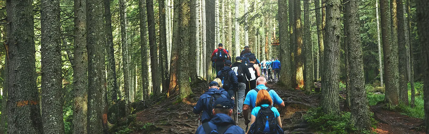 Team retreats
