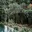 Best jungle resorts