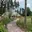 Countryside escapes