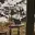 Remote work retreats