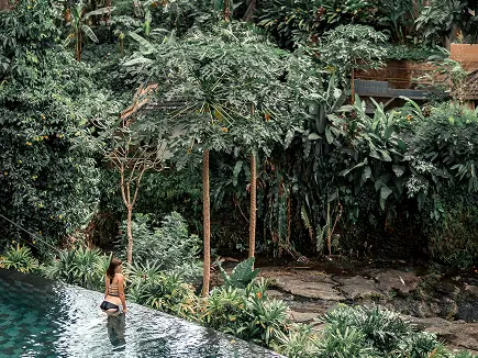 Best jungle resorts