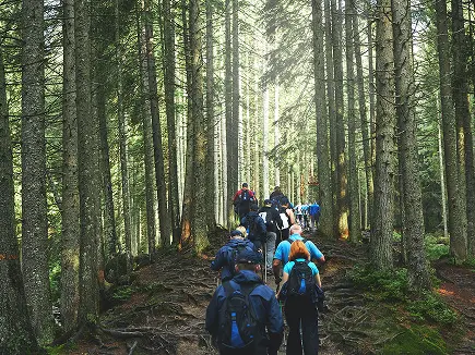 Team retreats