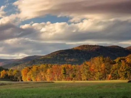 Virginia