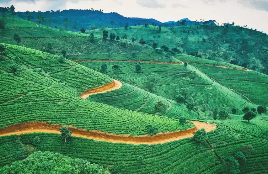 Sri Lanka